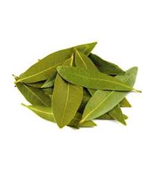 1KG Bay Leaves - Laurel