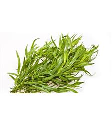 BOTE Estragon 200g