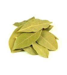 BOTE Laurel Hojas (Bay Leaves)120g