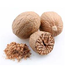 BOTE Nutmeg Pwd 670g