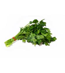 BOTE Perejil 180g