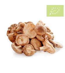 BOTE Shitake Setas 230g