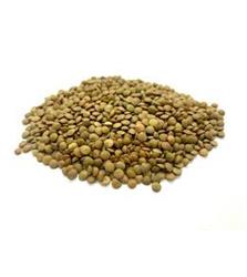 Brown Lentiles (Eco Basic) 500g 120