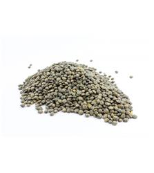 Green Lentils 2.5kg 123