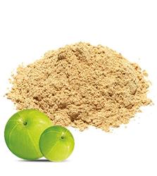 Amla Powder (Samskara) 250g